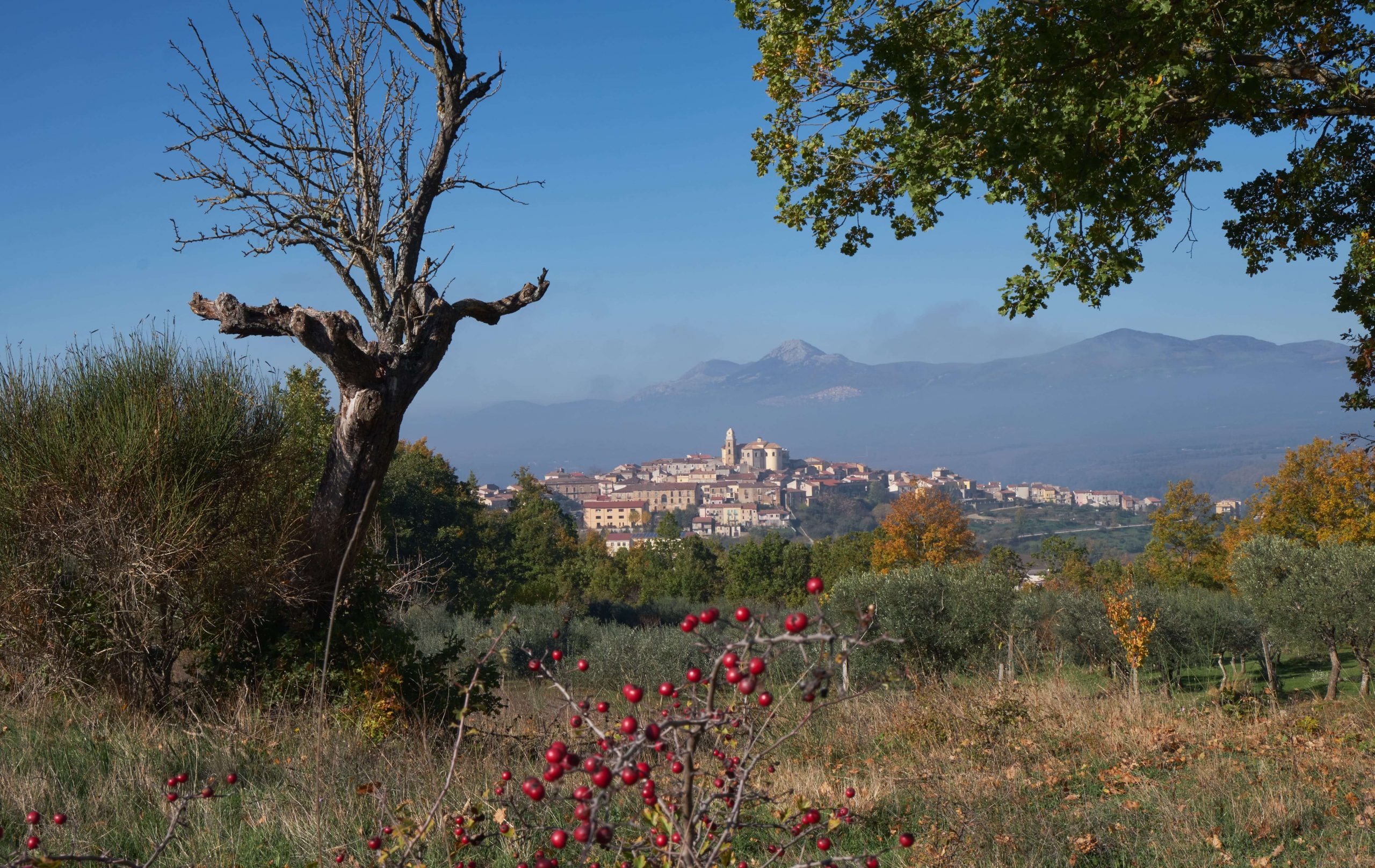 Veduta del centro abitato dalle pendici del monte Raparo (foto M. Bonelli)